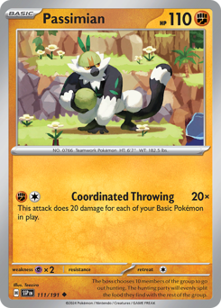 Passimian 111/252 NM (ITA)