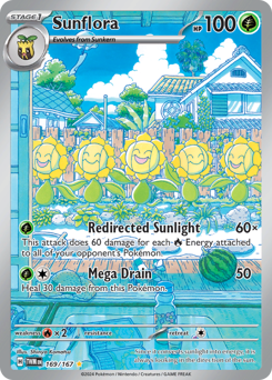 Sunflora 169/226 NM (ITA)