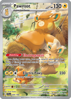 Pawmot 209/198 NM (ITA)