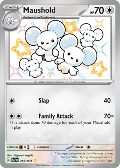 Maushold 210/245 NM (ITA)