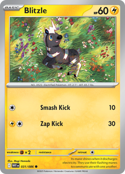Blitzle 031/173 Poké Ball NM (ITA)