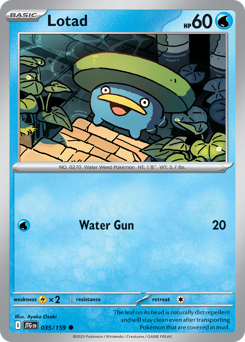 Lotad 035/190 Reverse NM (ITA)