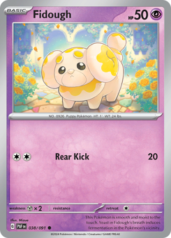 Fidough 038/245 NM (ITA)