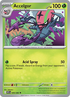 Accelgor 009/173 Poké Ball NM (ITA)