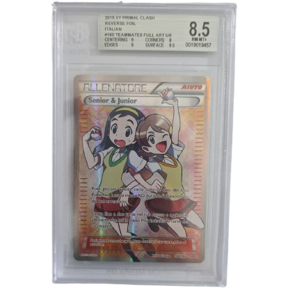 Senior e Junior 160/160 Scontro Primordiale - BGS 8,5 (ITA)