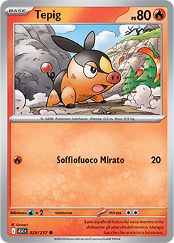 Tepig 029/295 Reverse Energy Pattern NM (ITA)