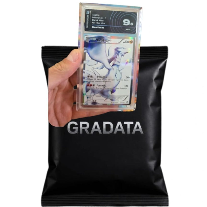 Pack Gradata Black