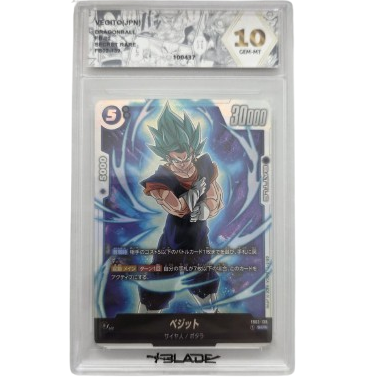 Vegito Blade 10 (JAP)