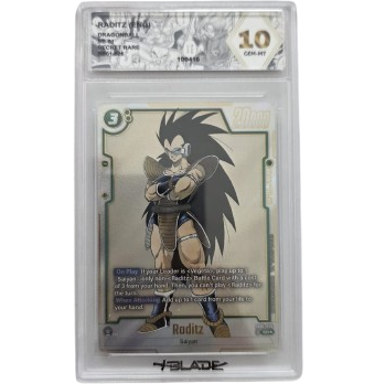 Raditz Blade 10 (ENG)